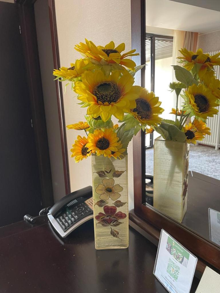 Apartament Executive Vedere Munte Alpin Resort פויאנה ברשוב מראה חיצוני תמונה