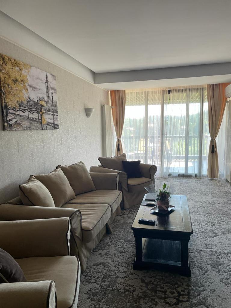 Apartament Executive Vedere Munte Alpin Resort פויאנה ברשוב מראה חיצוני תמונה