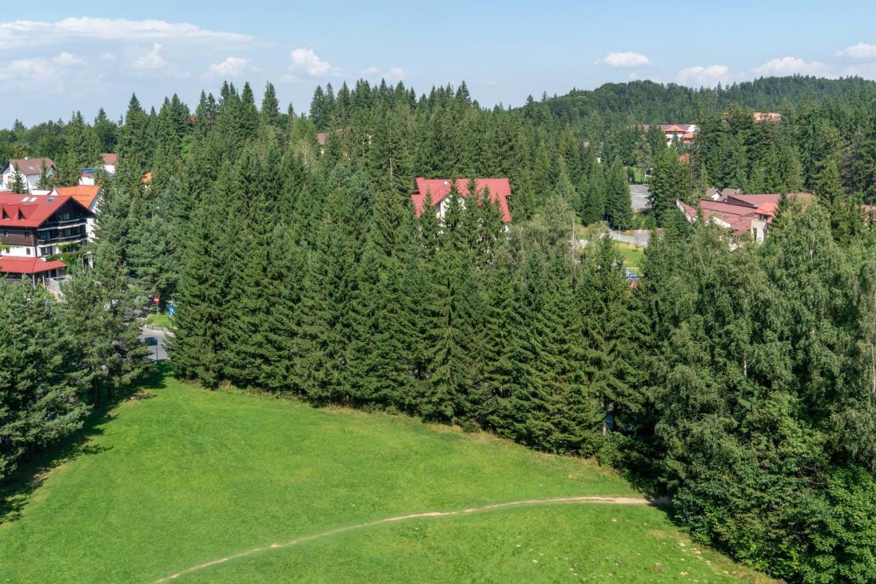 Apartament Executive Vedere Munte Alpin Resort פויאנה ברשוב מראה חיצוני תמונה